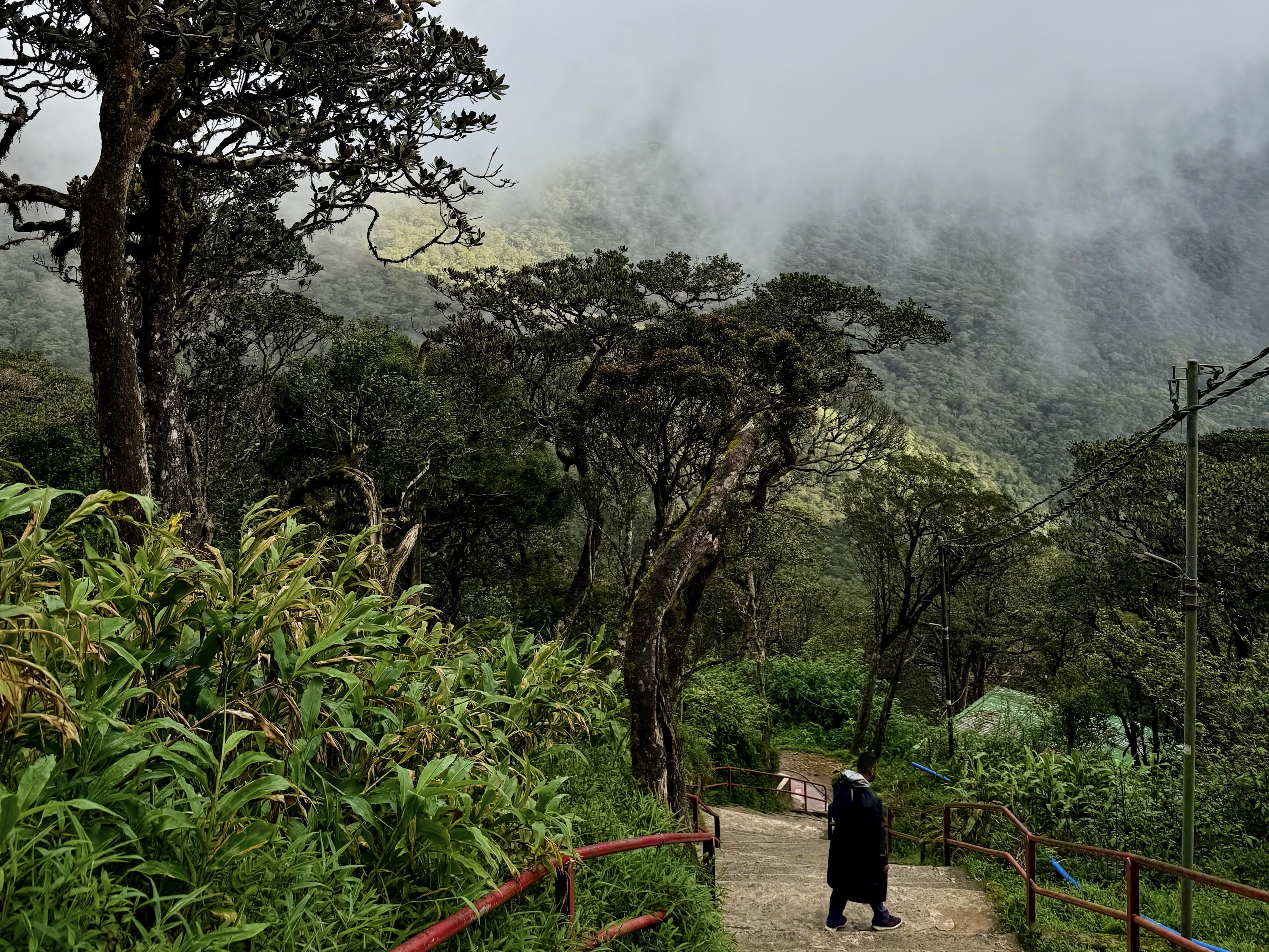 Adam’s Peak Sri Lankassa – yövaellus, auringonnousu ja kaikki mitä kannattaa tietää
